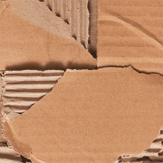 CARDBOARD_GIF_1-2a-Yellow Shoes