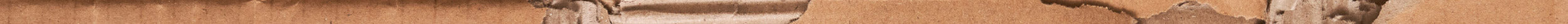 HEADER_DESKTOP_ECO_PAGE1-Yellow Shoes