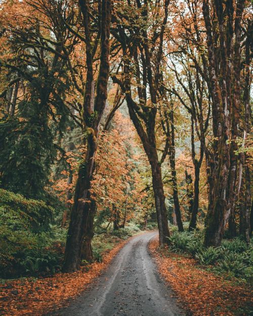 What to do this Fall?